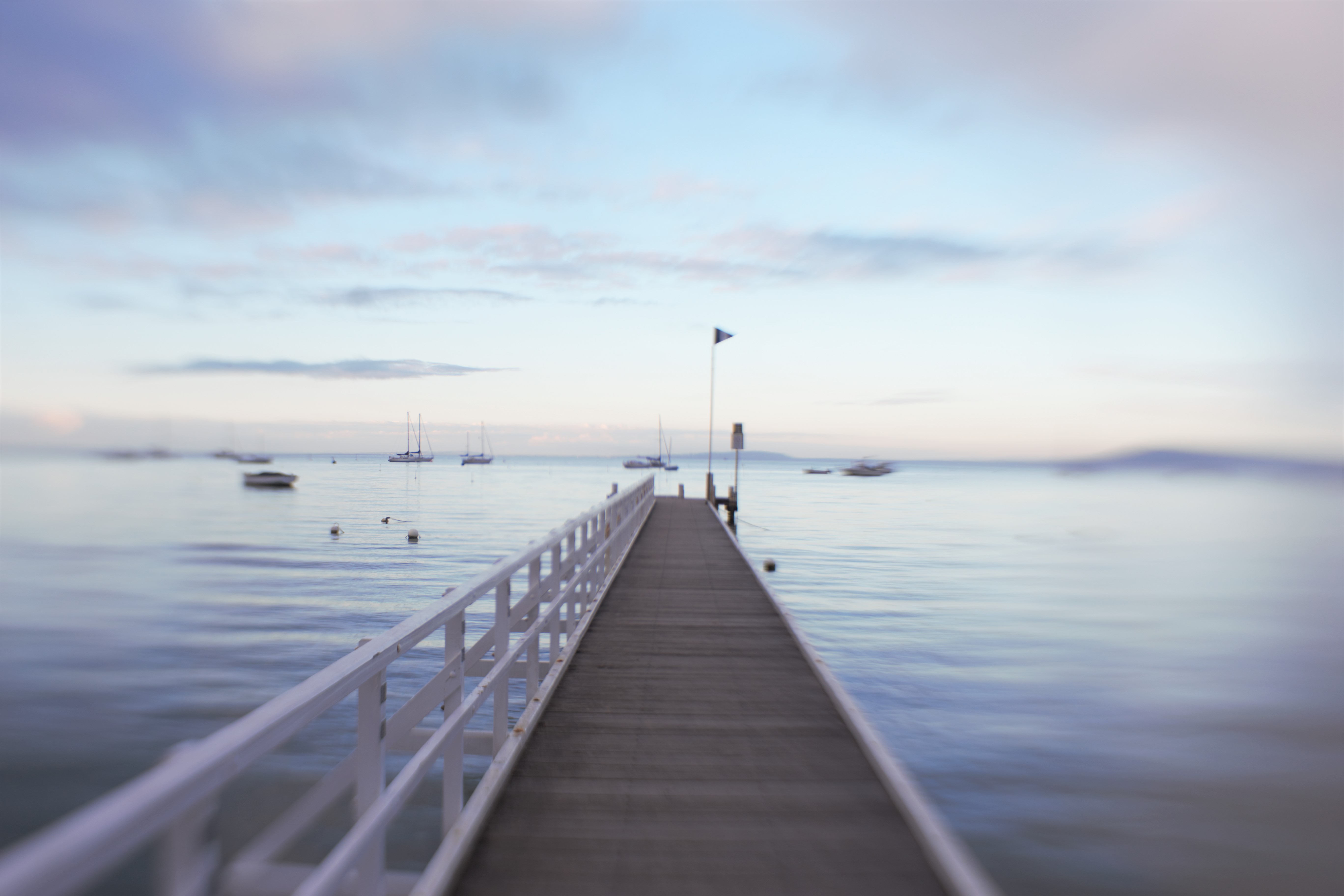 zhs.cameronsbight.10