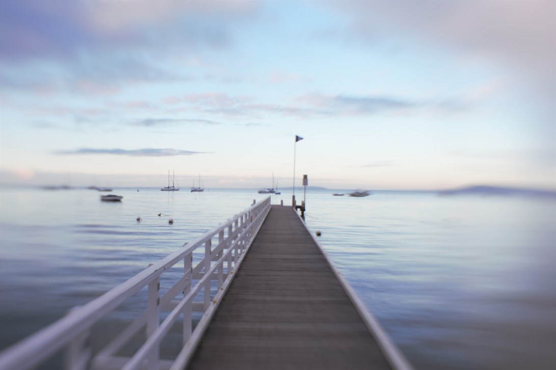 zhs.cameronsbight.10