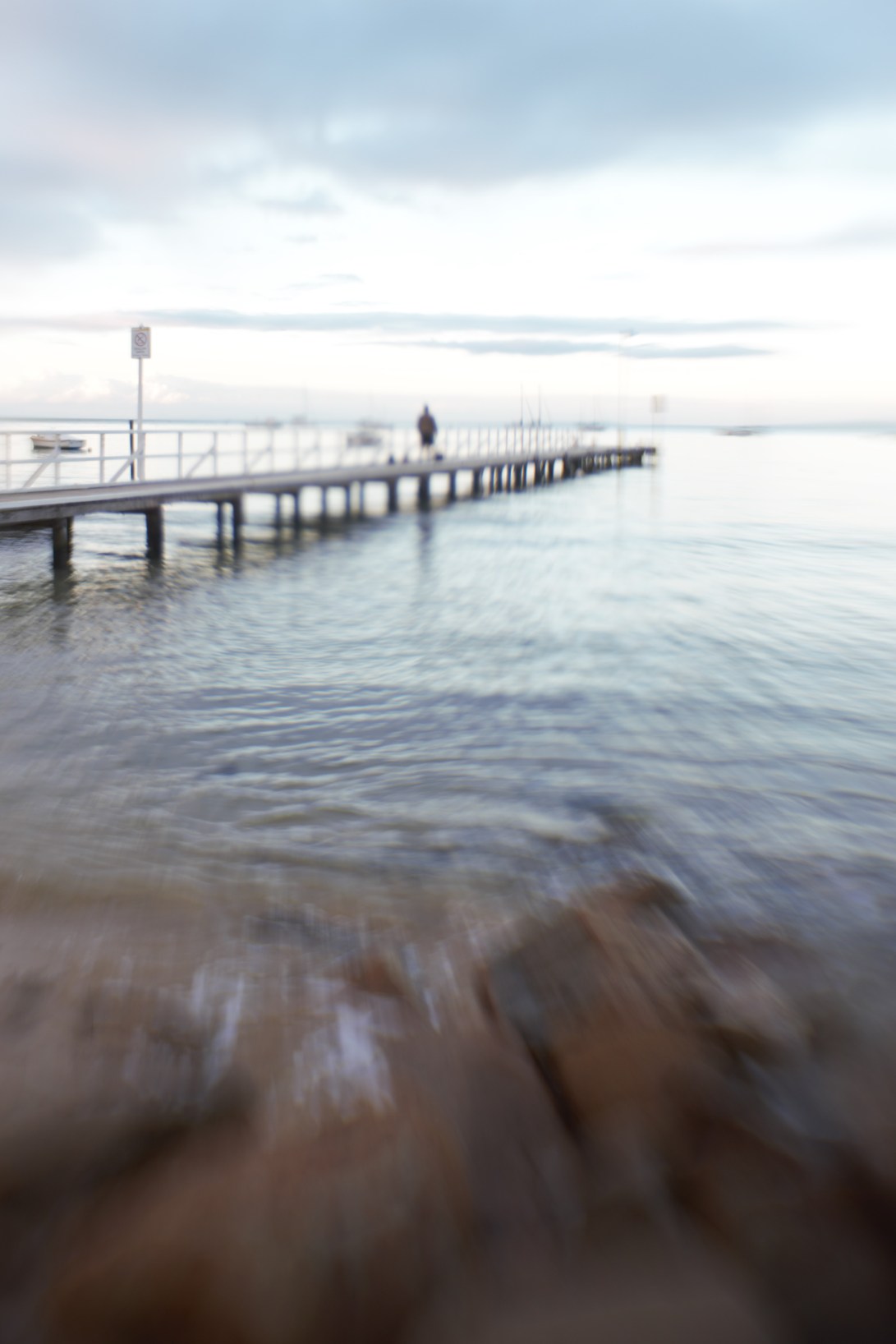 zhs.cameronsbight.11