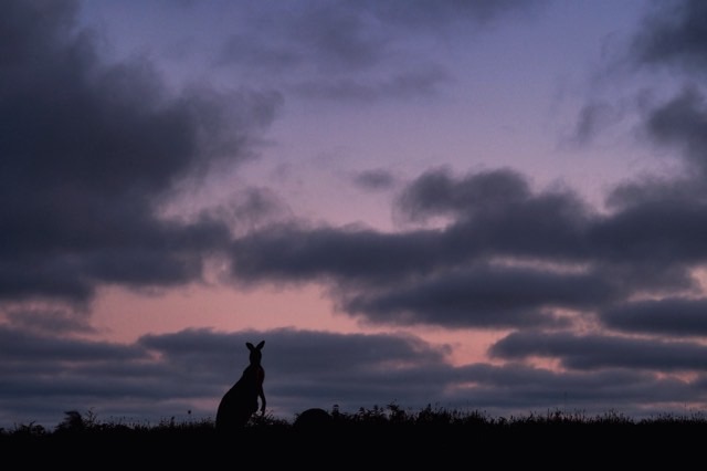 2E4AA3A8-D153-45CE-A458-EE659DE01B18