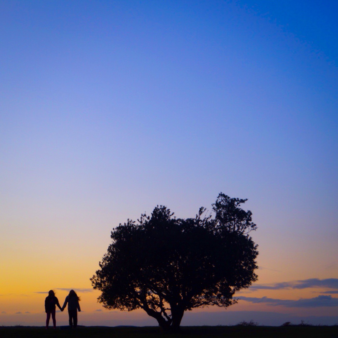 EDB8D49B-E88D-4A2F-8585-4693BFE6AC0A