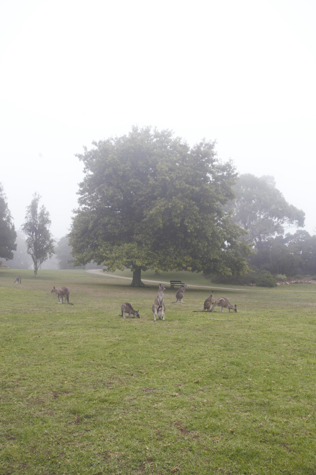 02E12D6F-43ED-47DE-92B9-F0C2C503AC3E