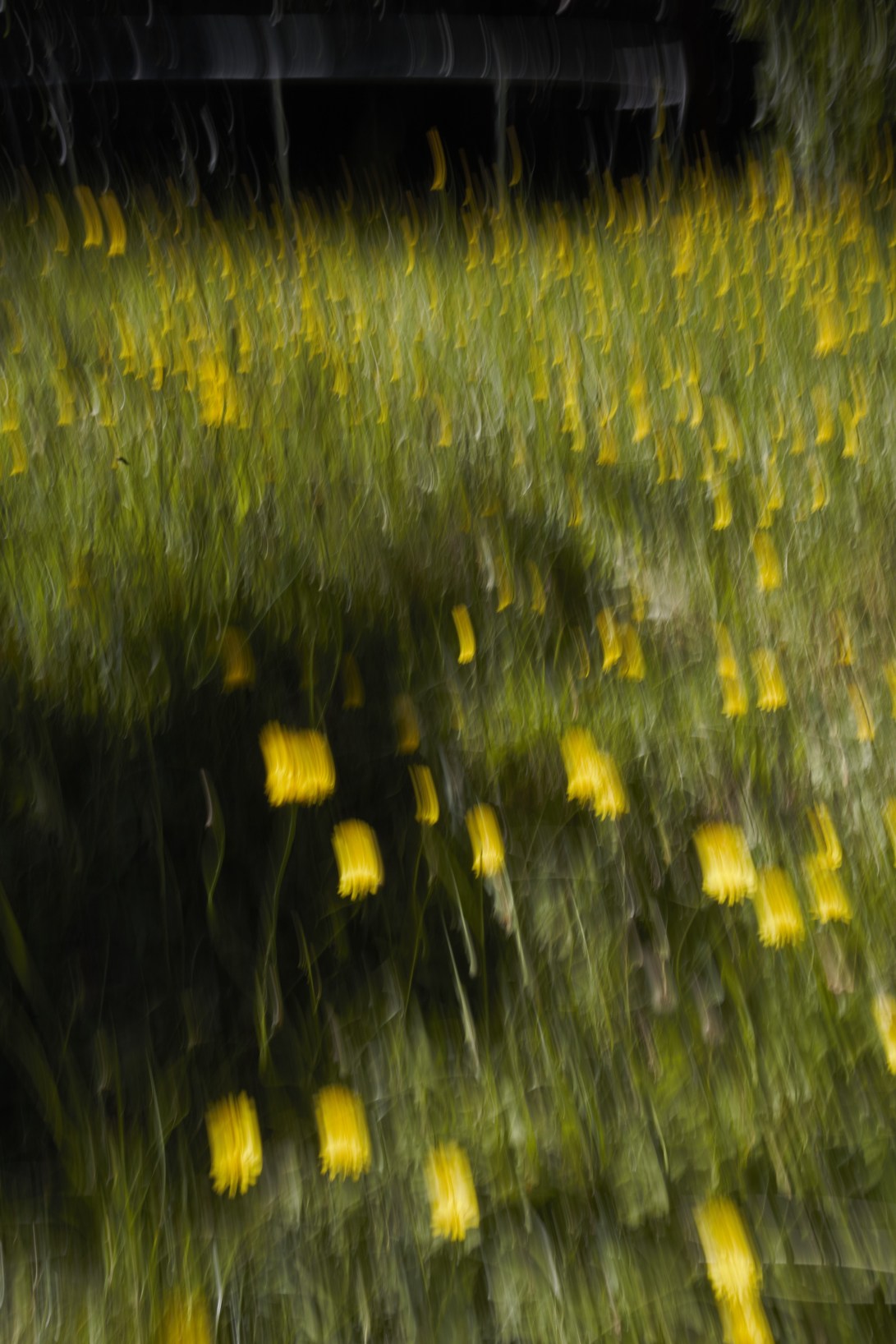 16826AB7-895A-45A2-A4B0-46BDEA66A8D4