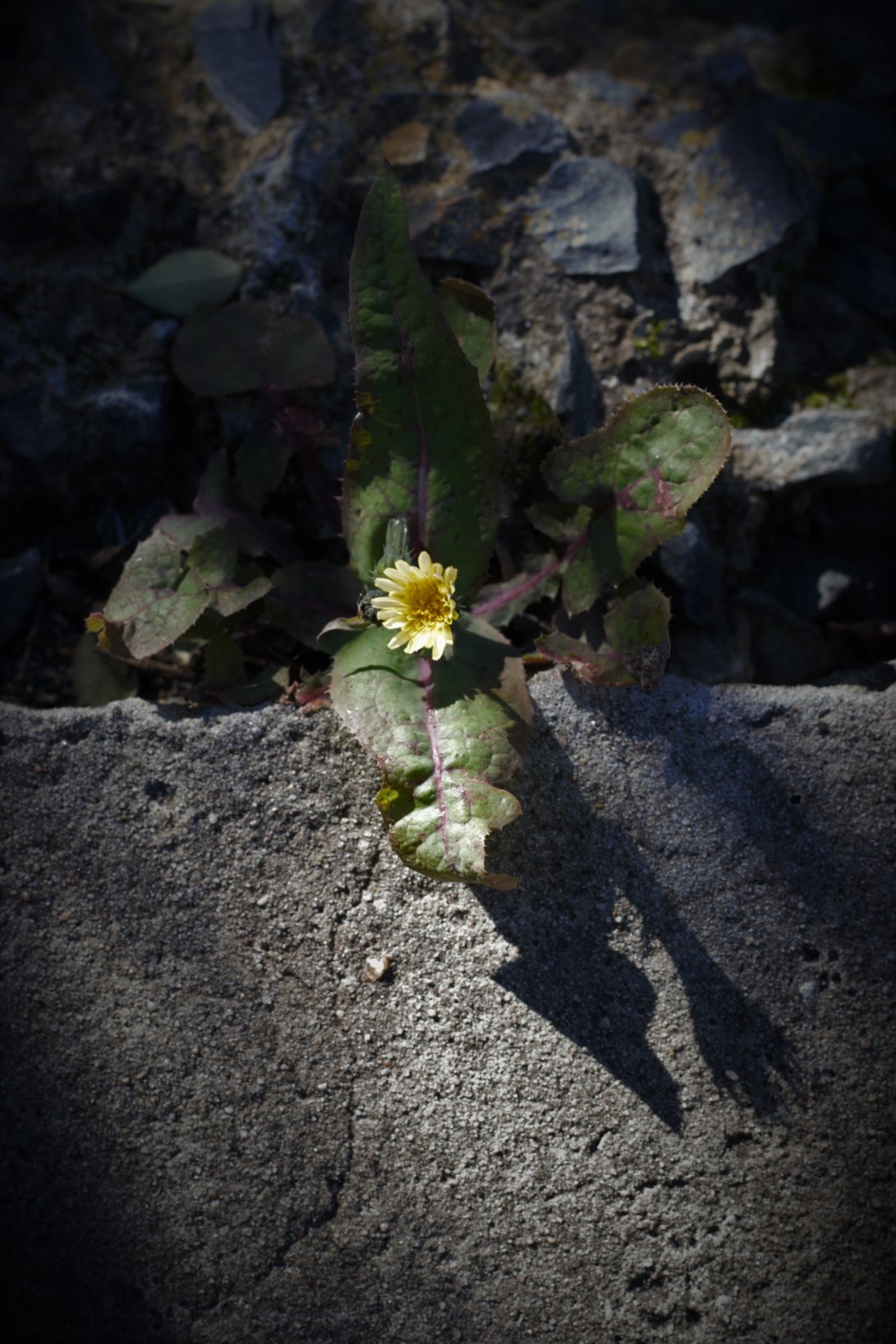 1D91BCFF-9976-448F-903C-BD117862A306