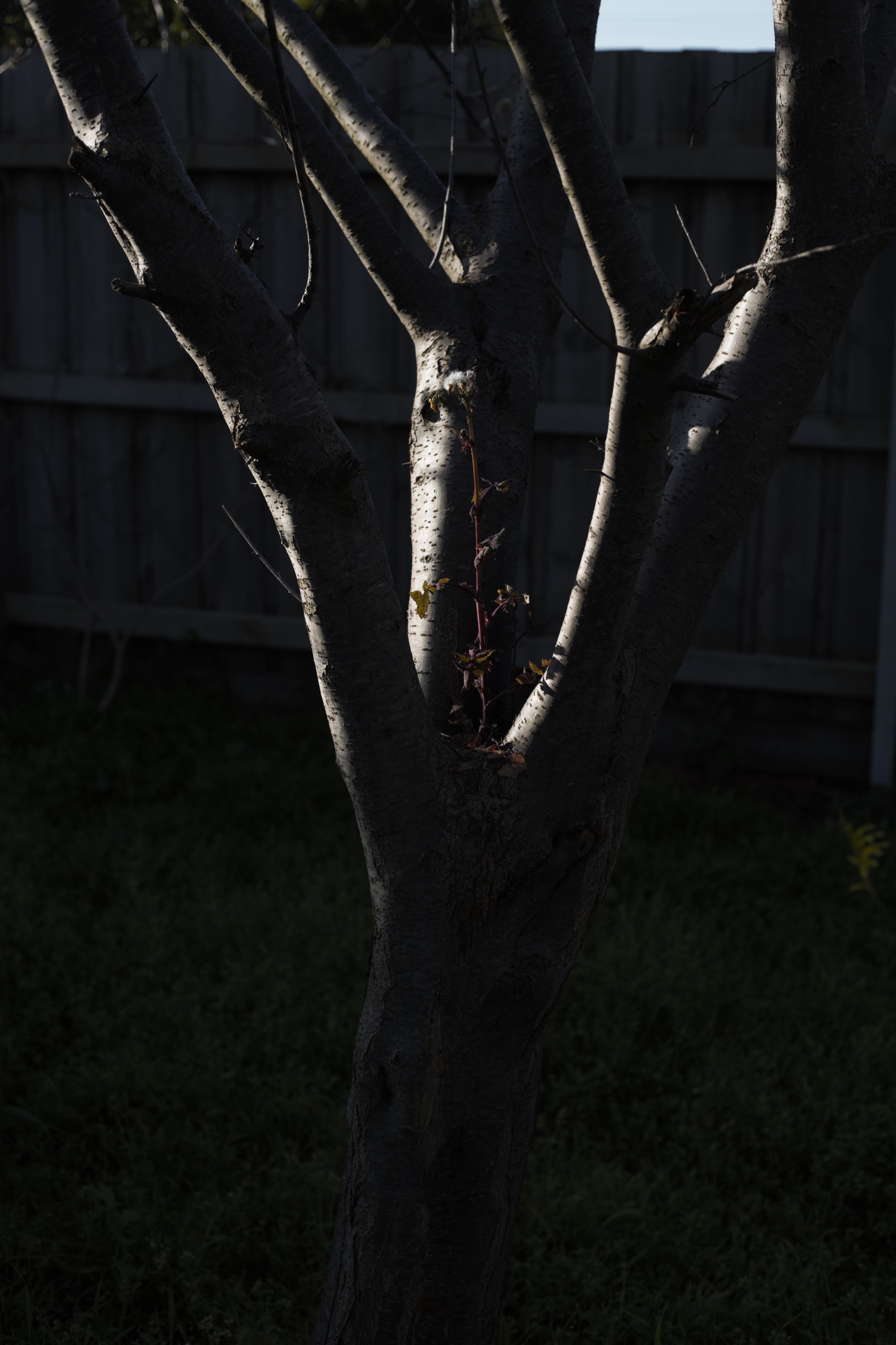 20B26F53-9C60-4625-862E-2E177EE2A5EE