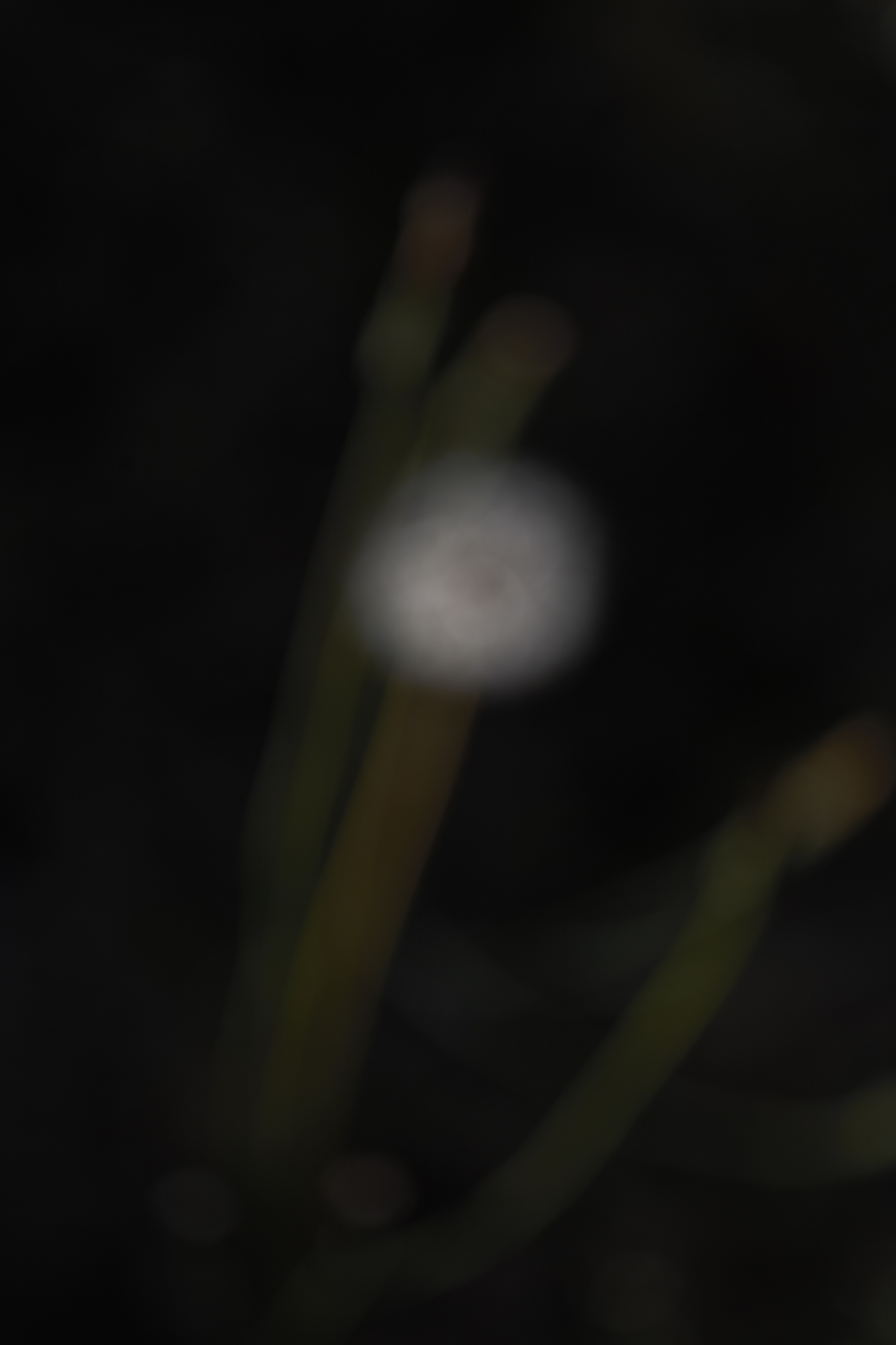 343D5D2F-0E4C-4409-BD18-9161CA3D264A