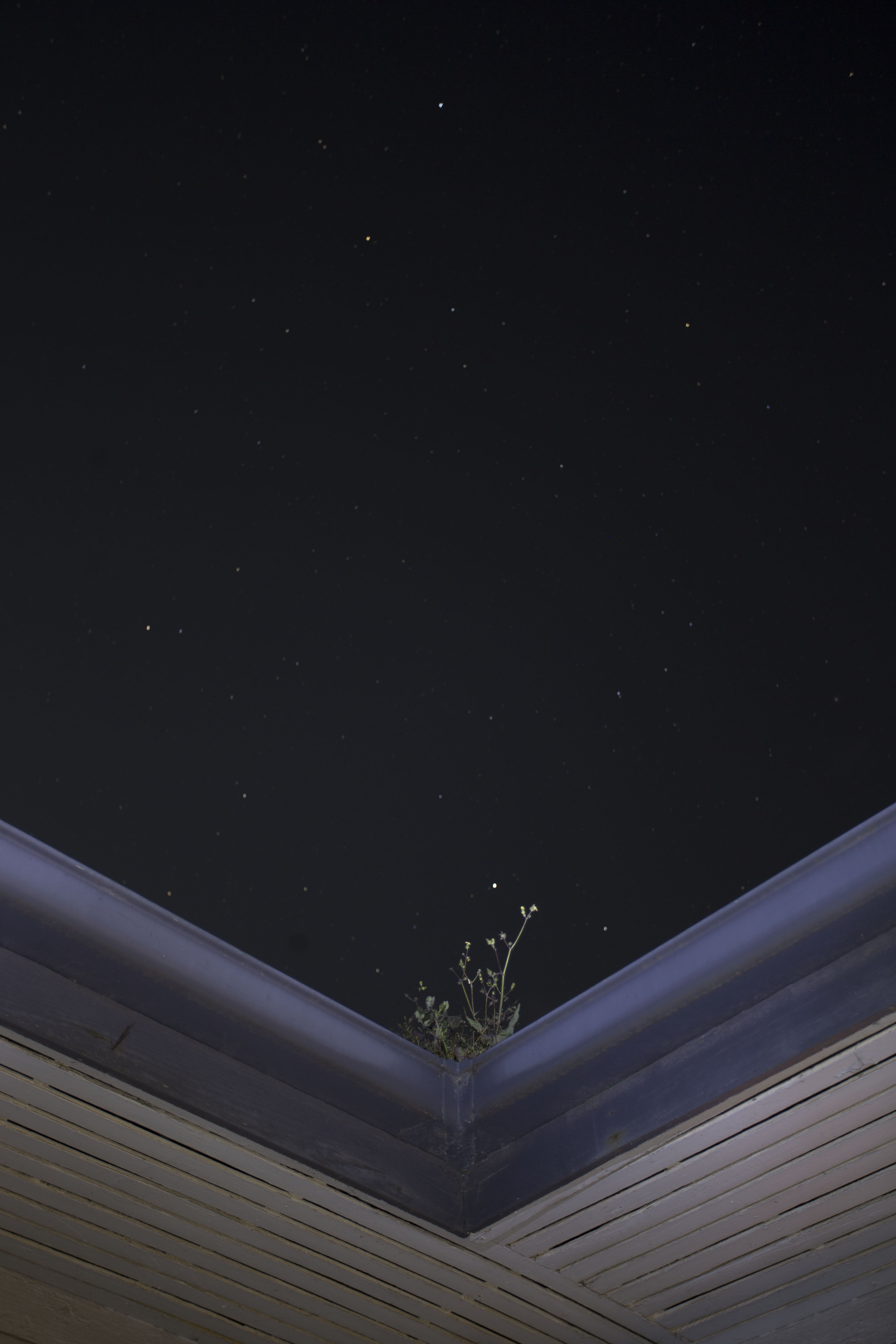 3862EED2-4B3C-4036-82B0-A7A6B2701560