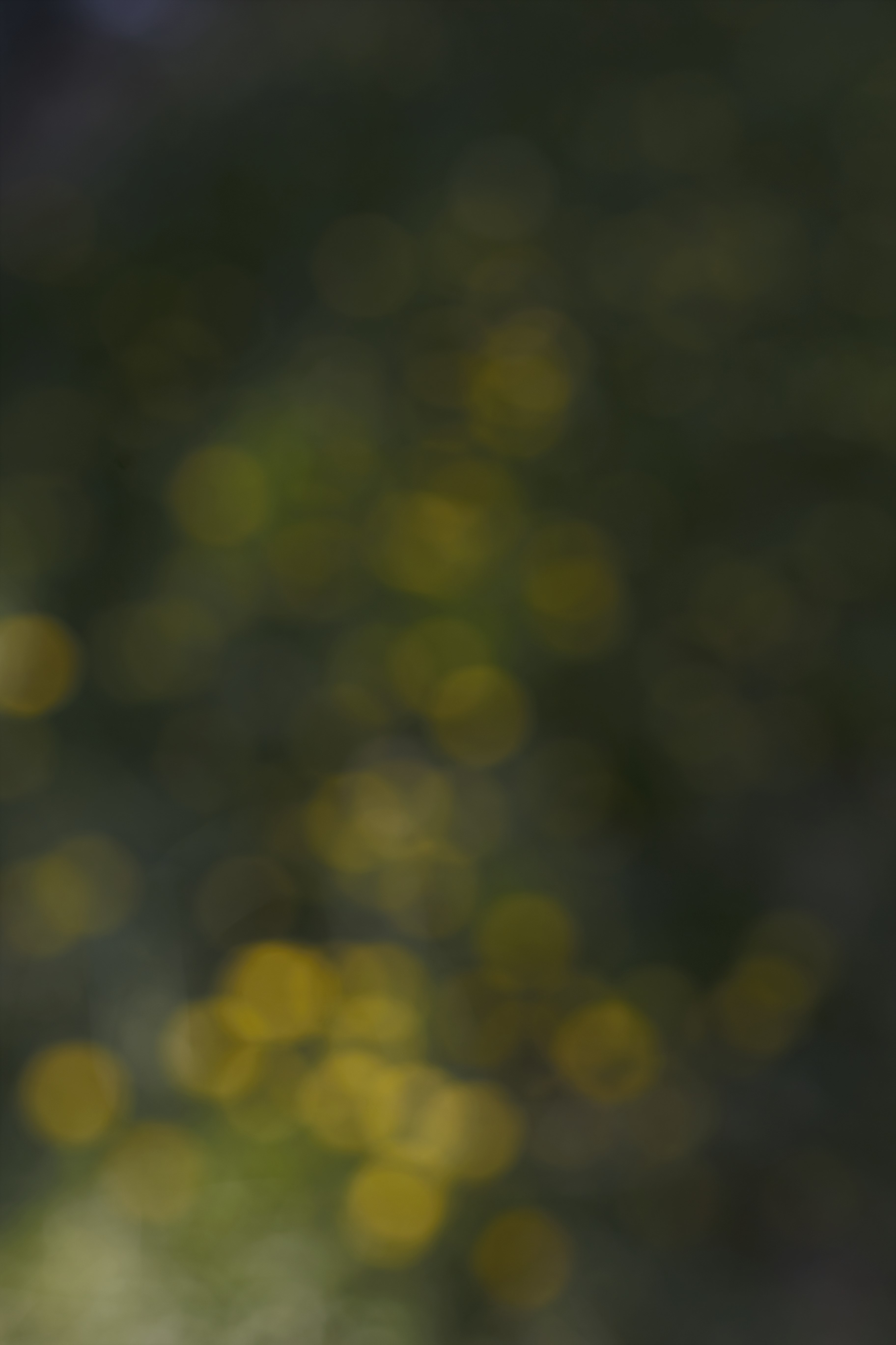 395A5FED-B940-431A-B294-4C85AAA2595C