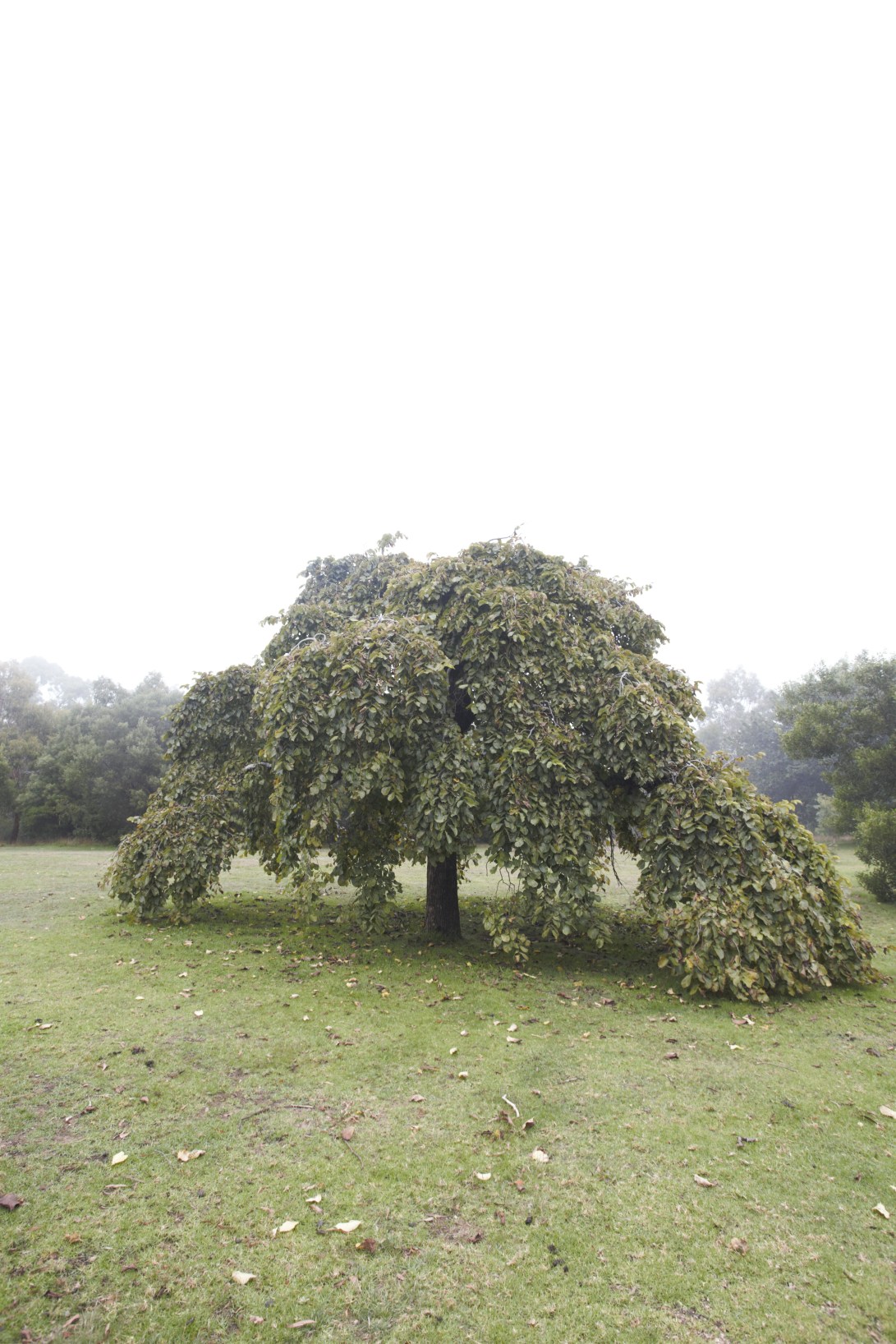 40262DE9-100D-42A1-B999-A888F132CD44