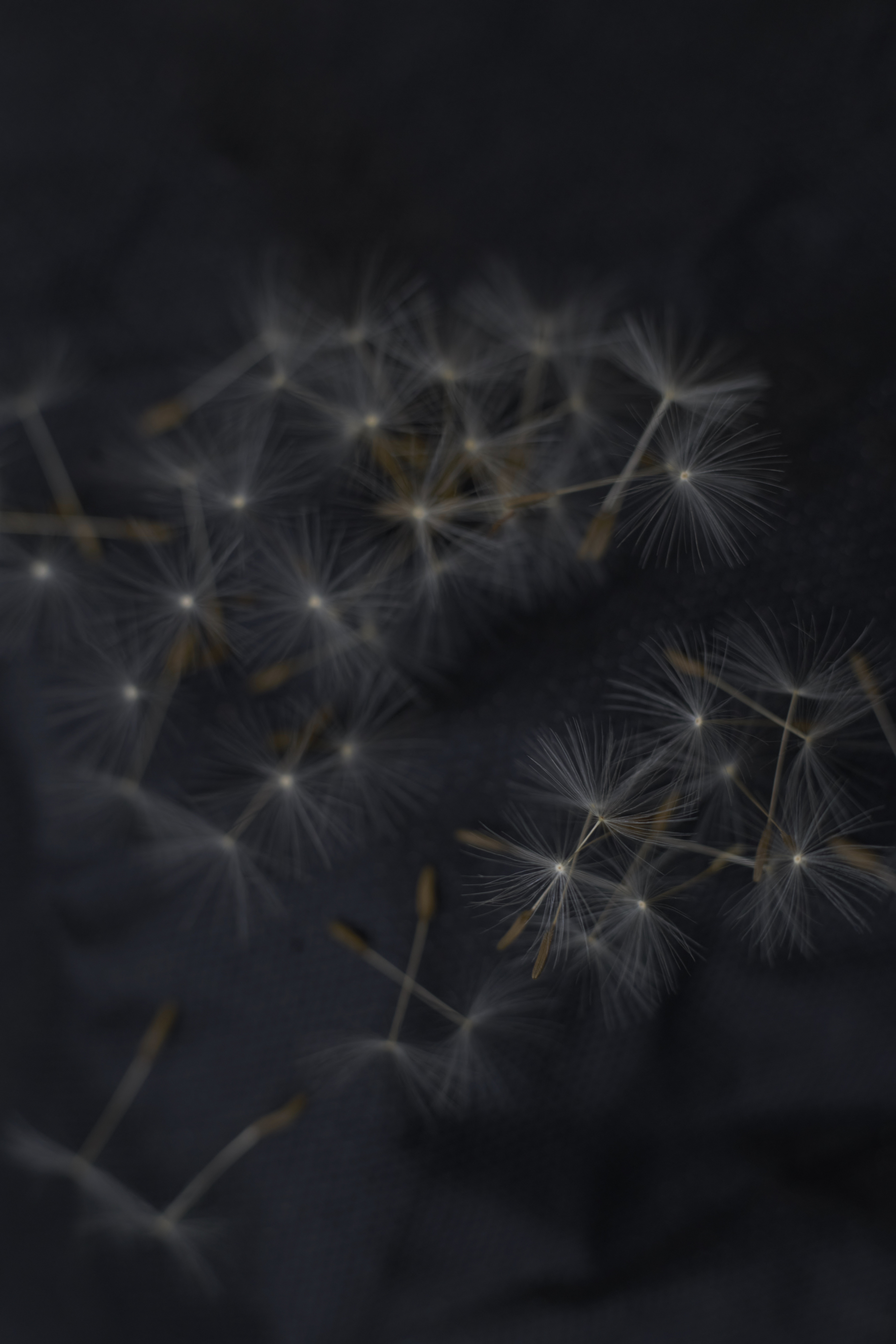 4E937715-DB6A-4818-AA2D-D045A0930D85