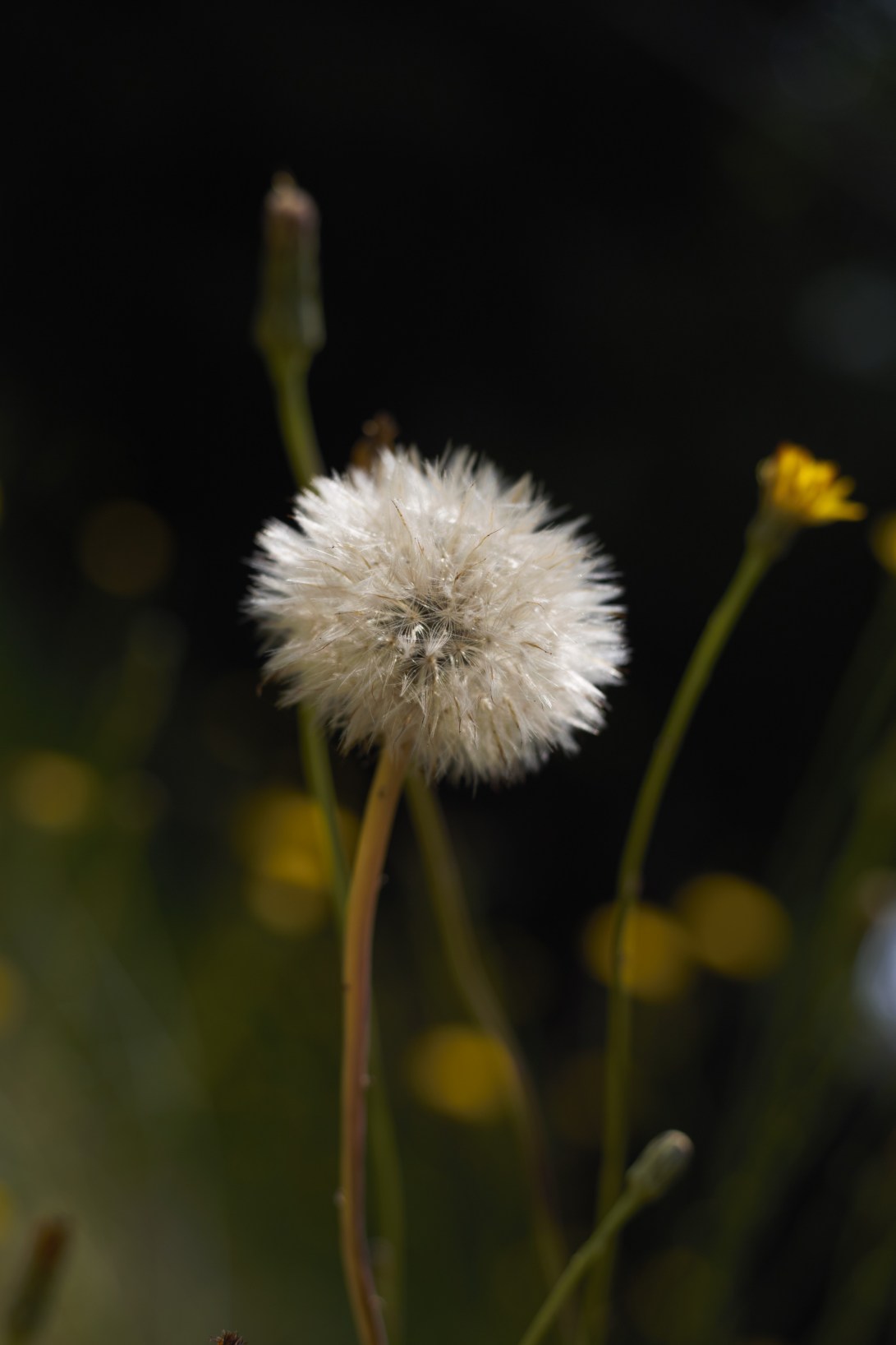 51442D13-EC1E-4231-B566-5C41AFE1181C