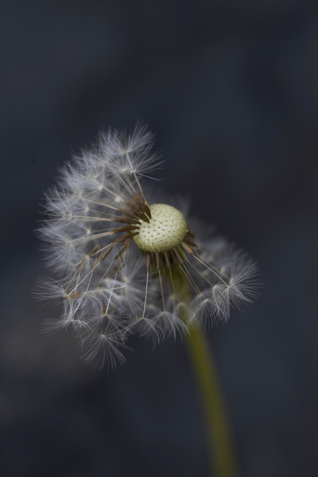 524E396D-8223-4C93-9977-F5E0A30257B3