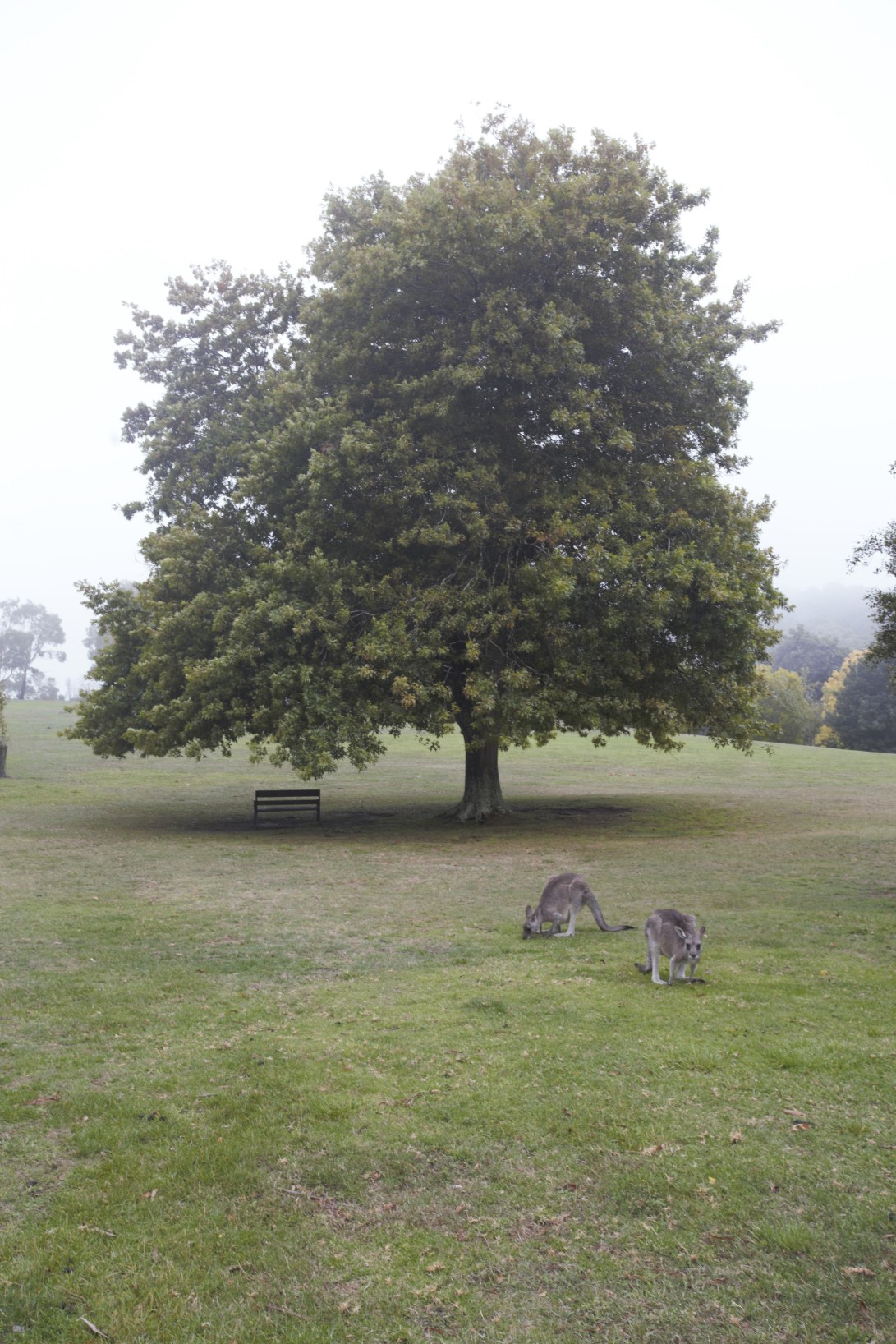 63BFBEA2-491B-48A2-BF1E-5A92A0E8D810