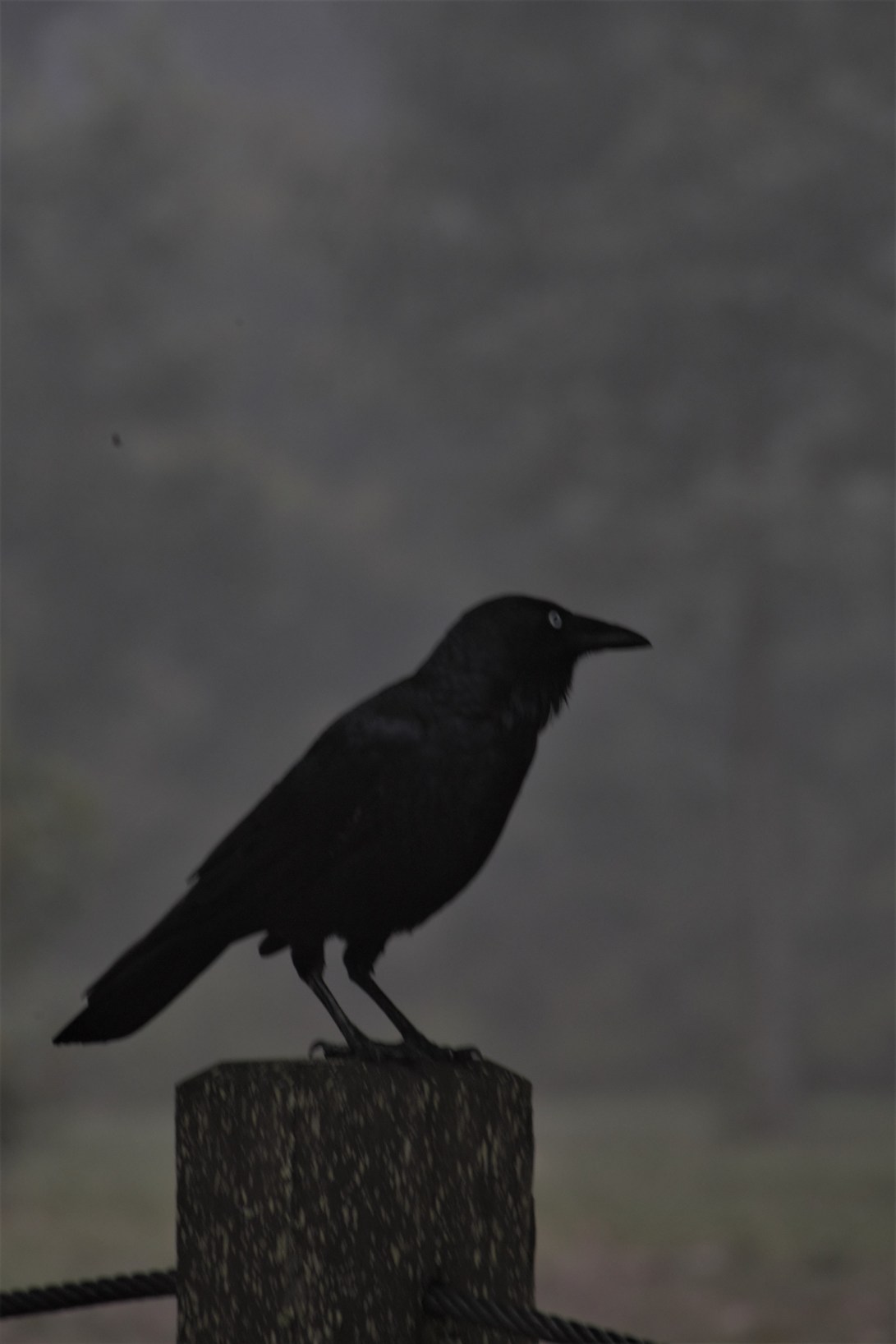 767B9859-819F-4E1F-A47C-B84BE742E43A