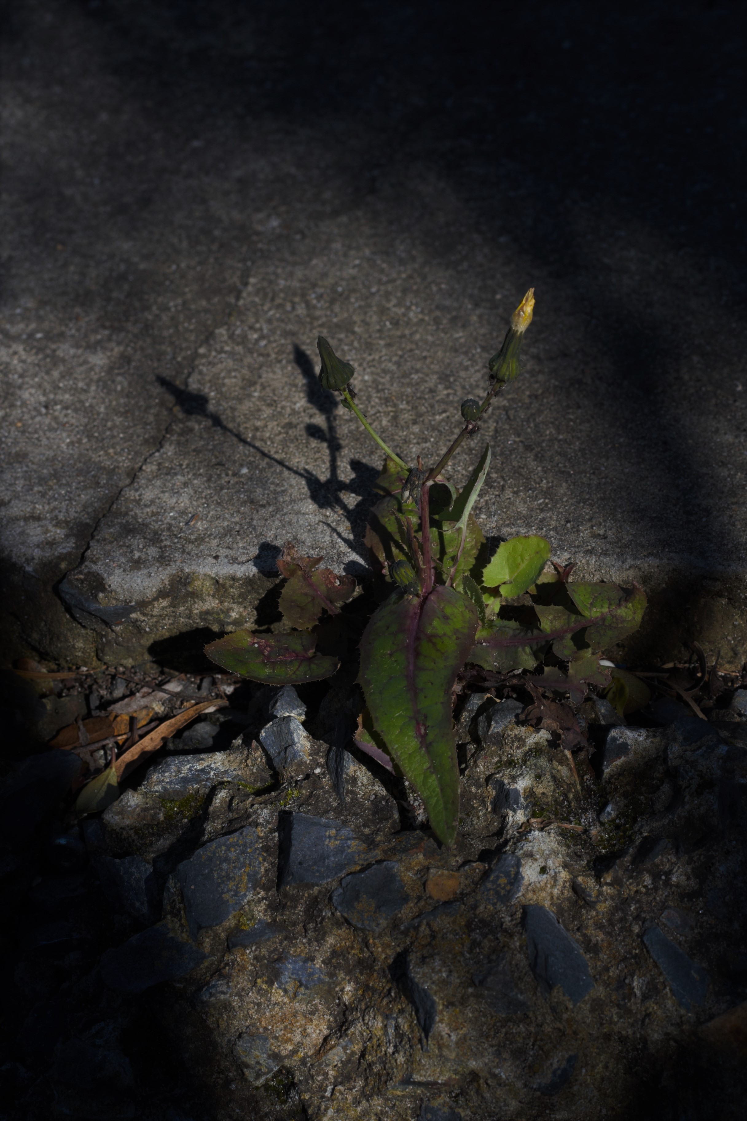 83F5EE62-8AB5-4AE4-9083-32CE7DDE3B2F