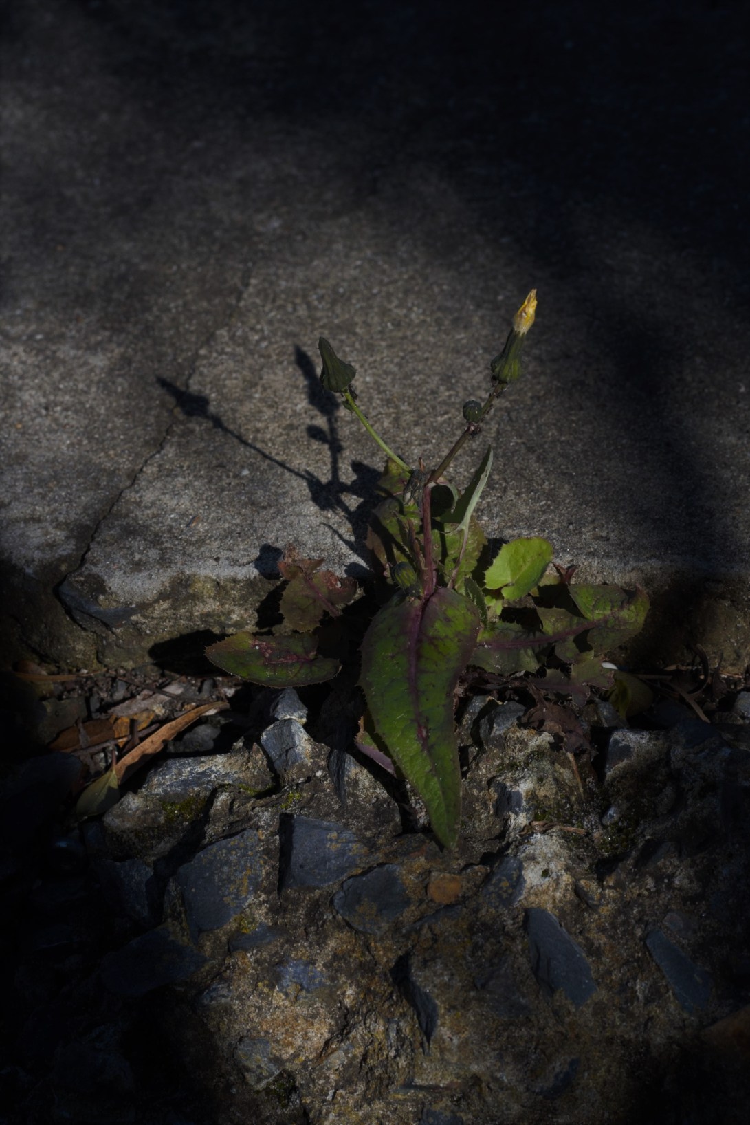 83F5EE62-8AB5-4AE4-9083-32CE7DDE3B2F