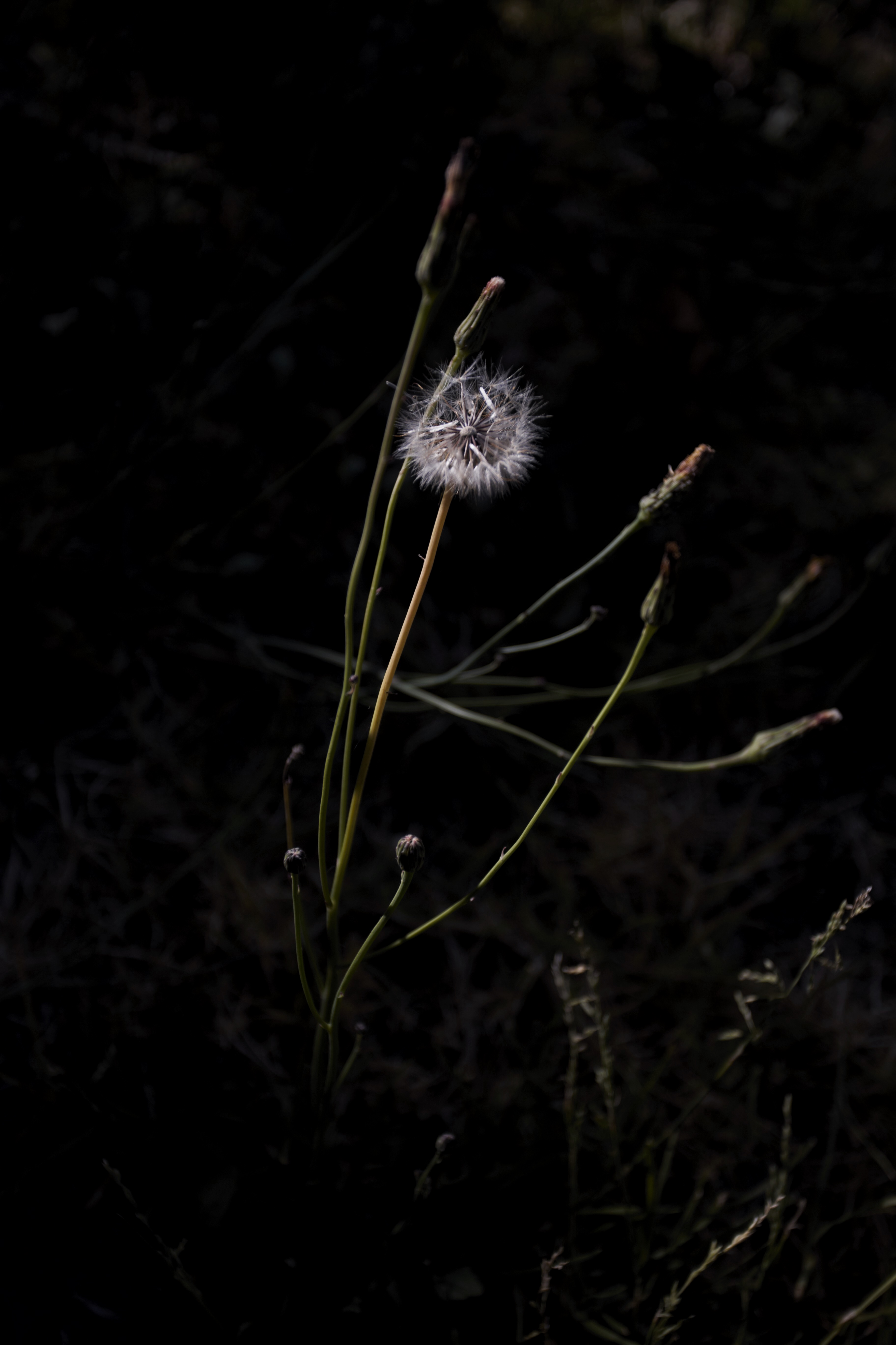 937D3A9F-6D82-4DDC-87A8-D26AFCD54499