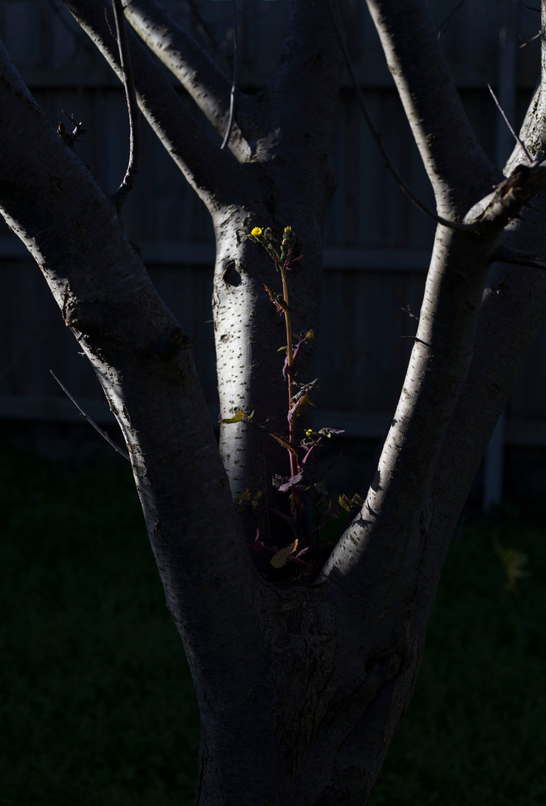 9A1E9B89-D00E-4116-B77F-1B457C39F5F8