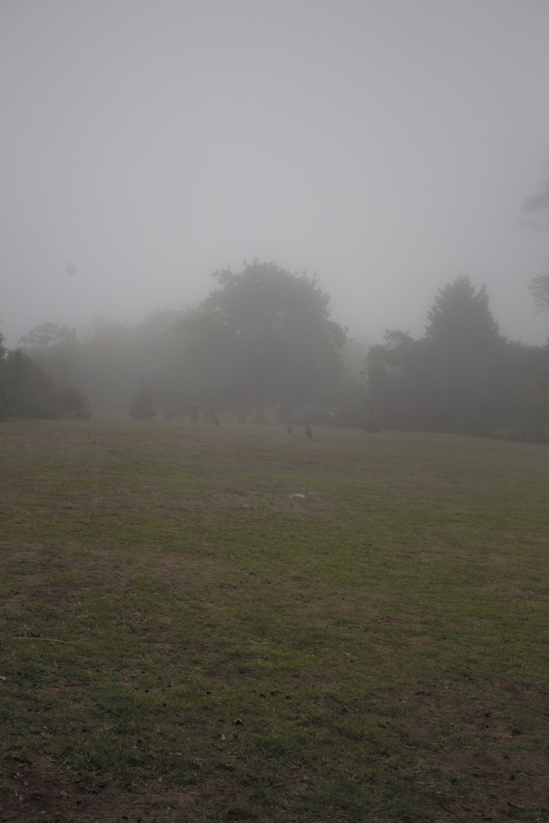 B1DC1CCA-C5F3-4CA8-BBD7-1E2EAB197F82