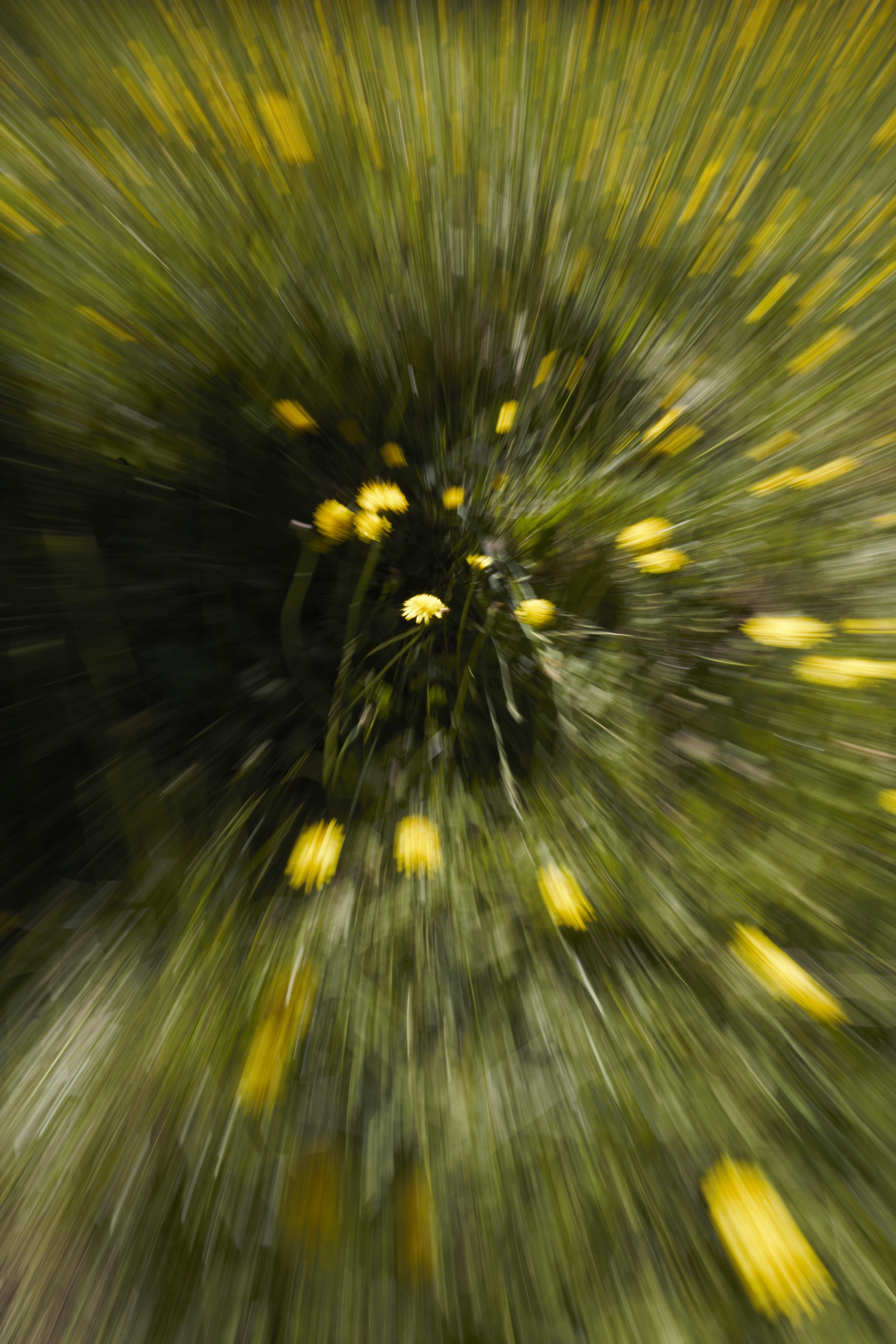 D2CBFC02-0FF9-4C52-BA68-D16FECB21269