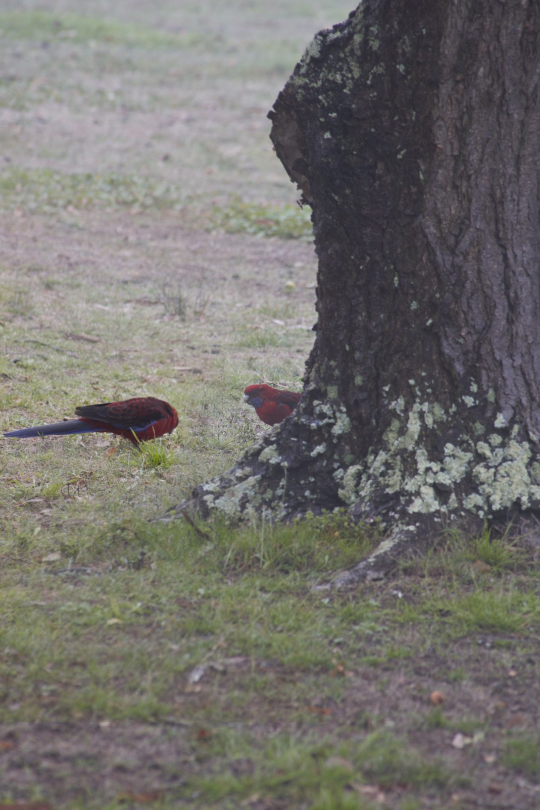 D4584B80-ECE0-4277-B6F1-7930CD17A92A