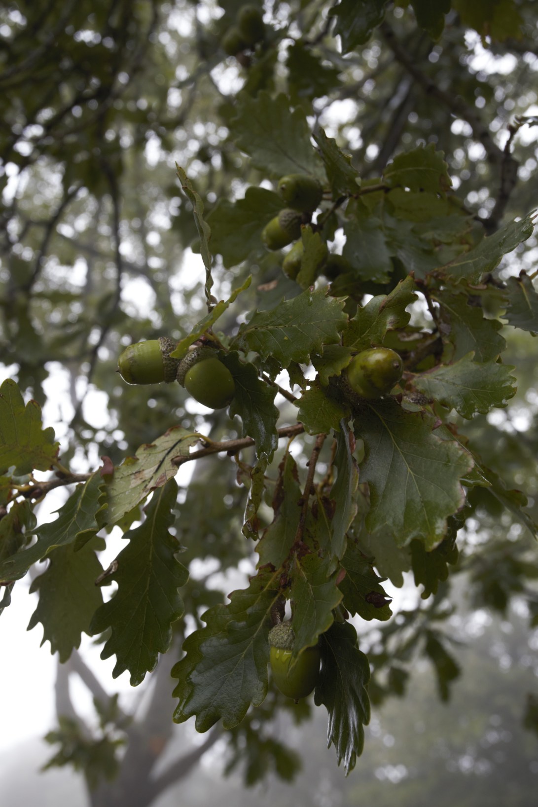 E2518918-D657-492D-9A34-461FDA923EDD