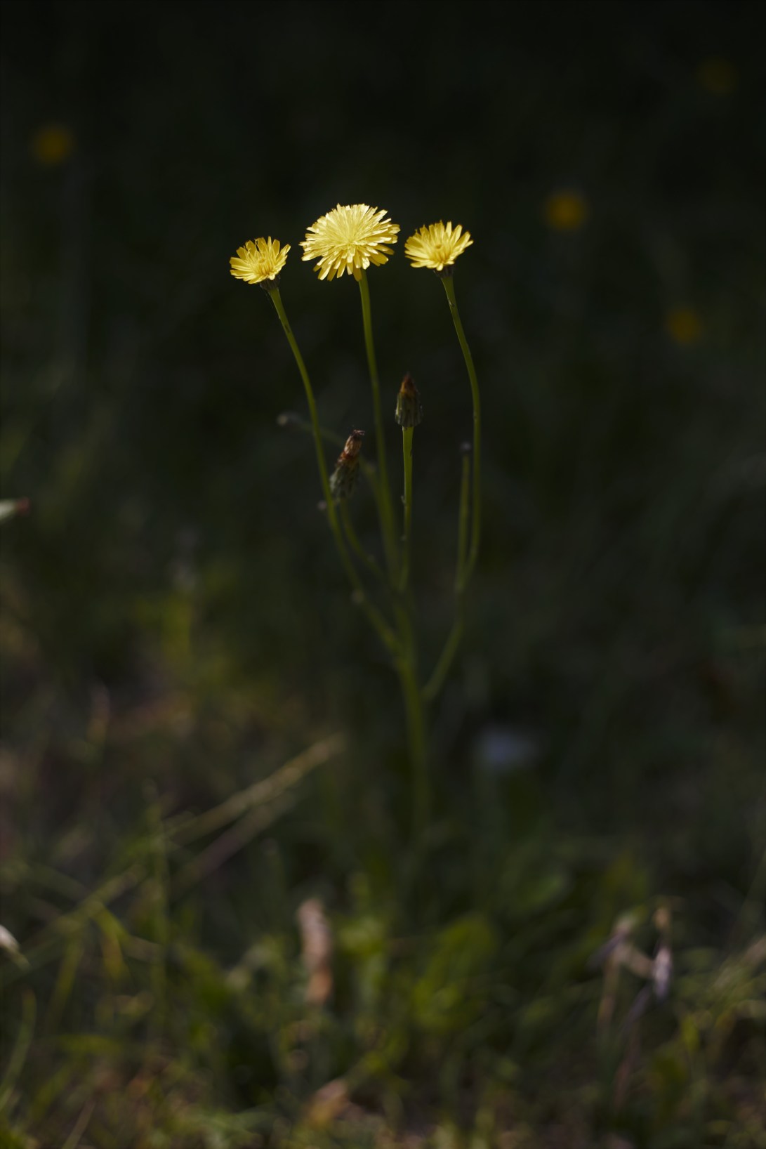 ED76F468-2FD6-452A-91CF-600B156F773C