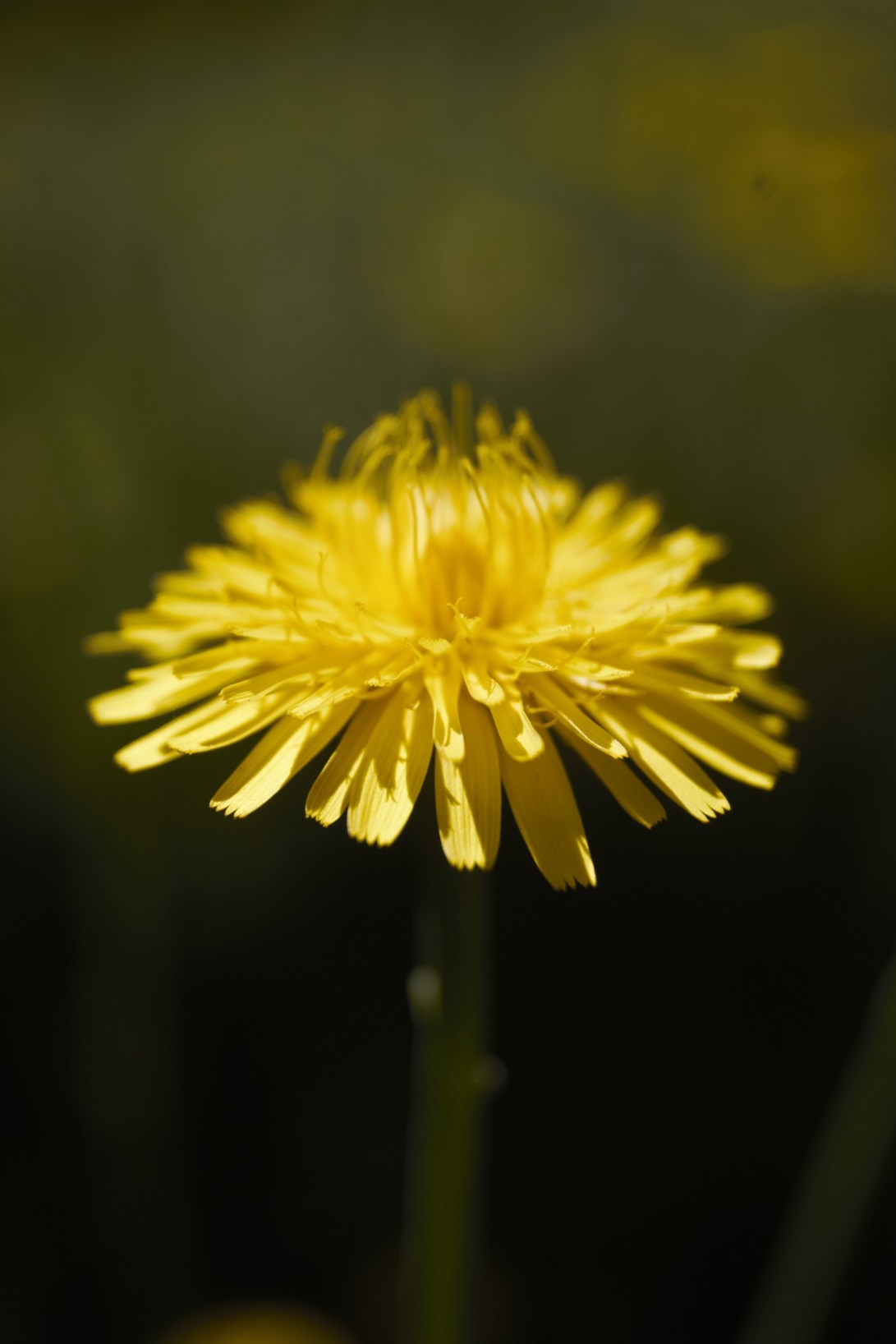 F4EDA114-1B5B-4EC8-8937-F175C4E022E5