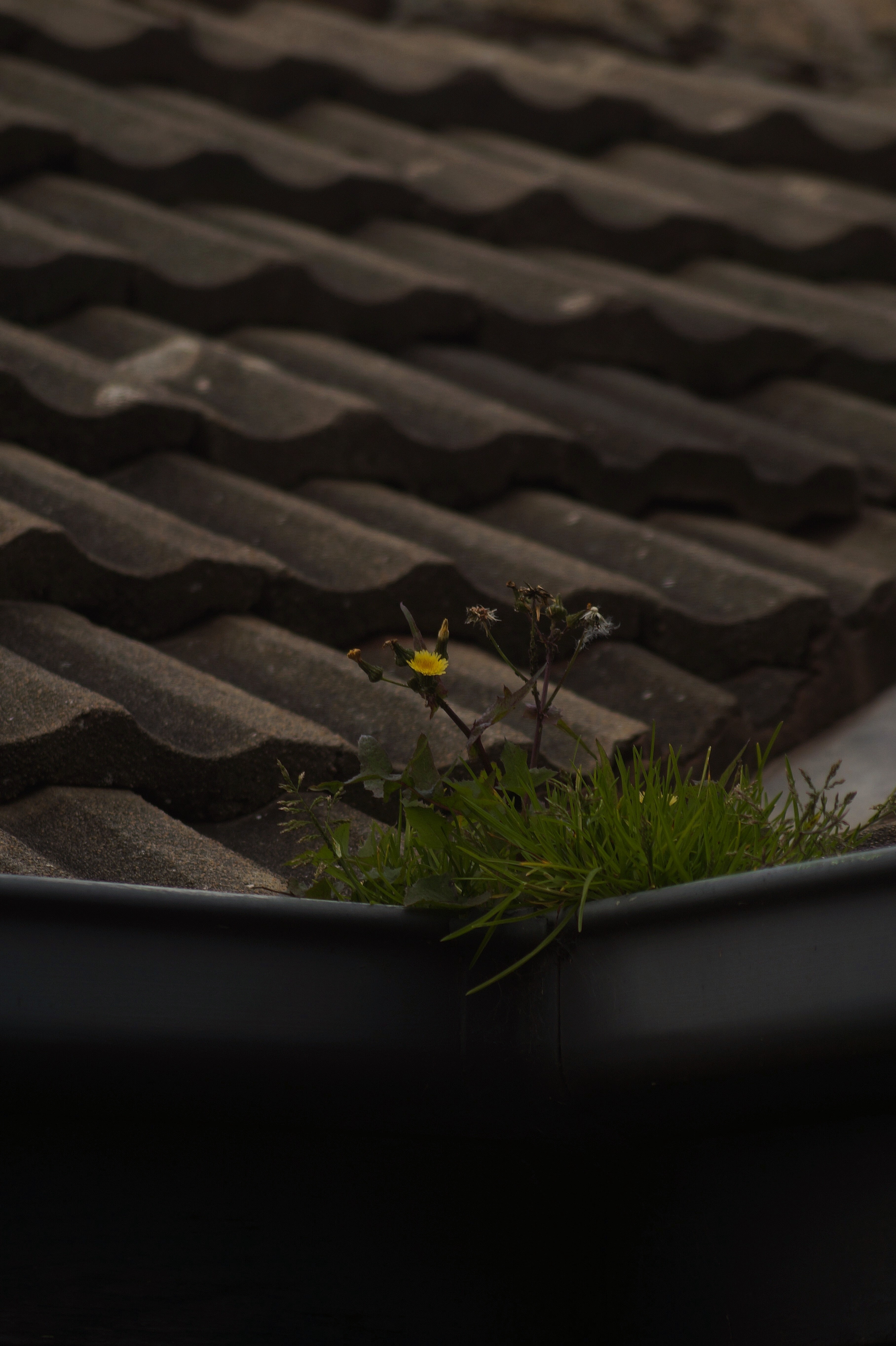 9B7E254D-85B5-4A24-822A-0C9BEC84B988