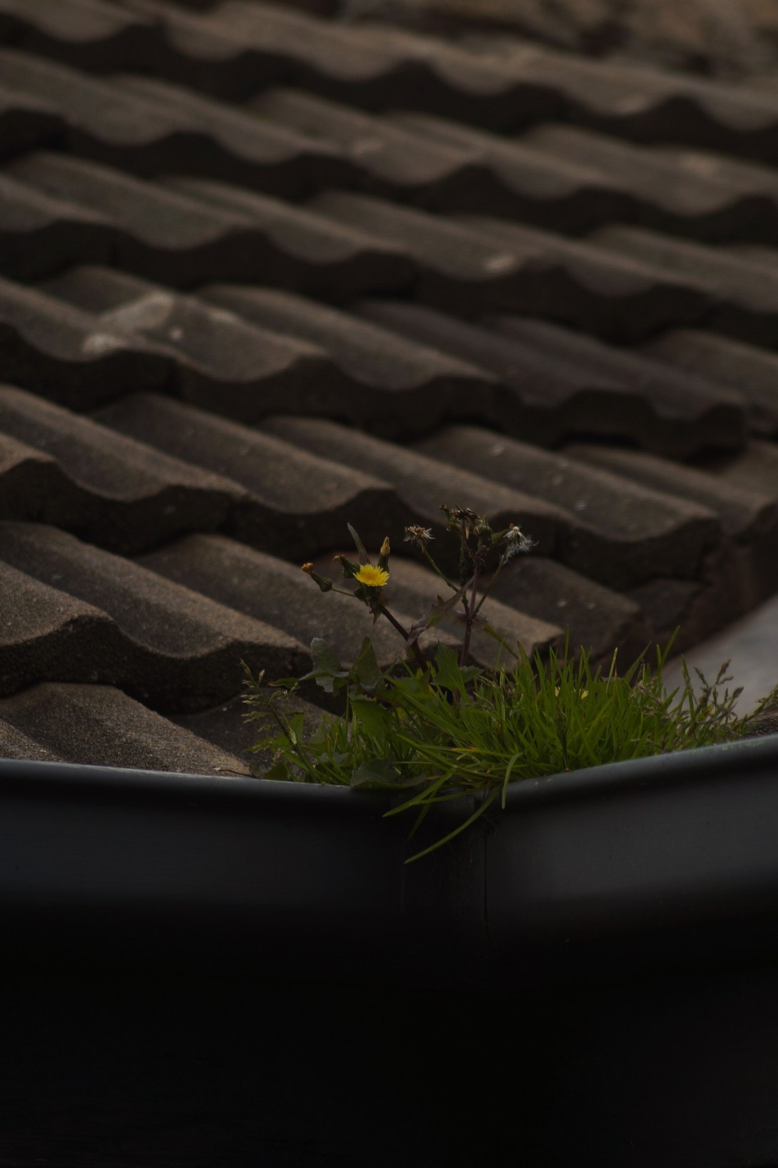 9B7E254D-85B5-4A24-822A-0C9BEC84B988