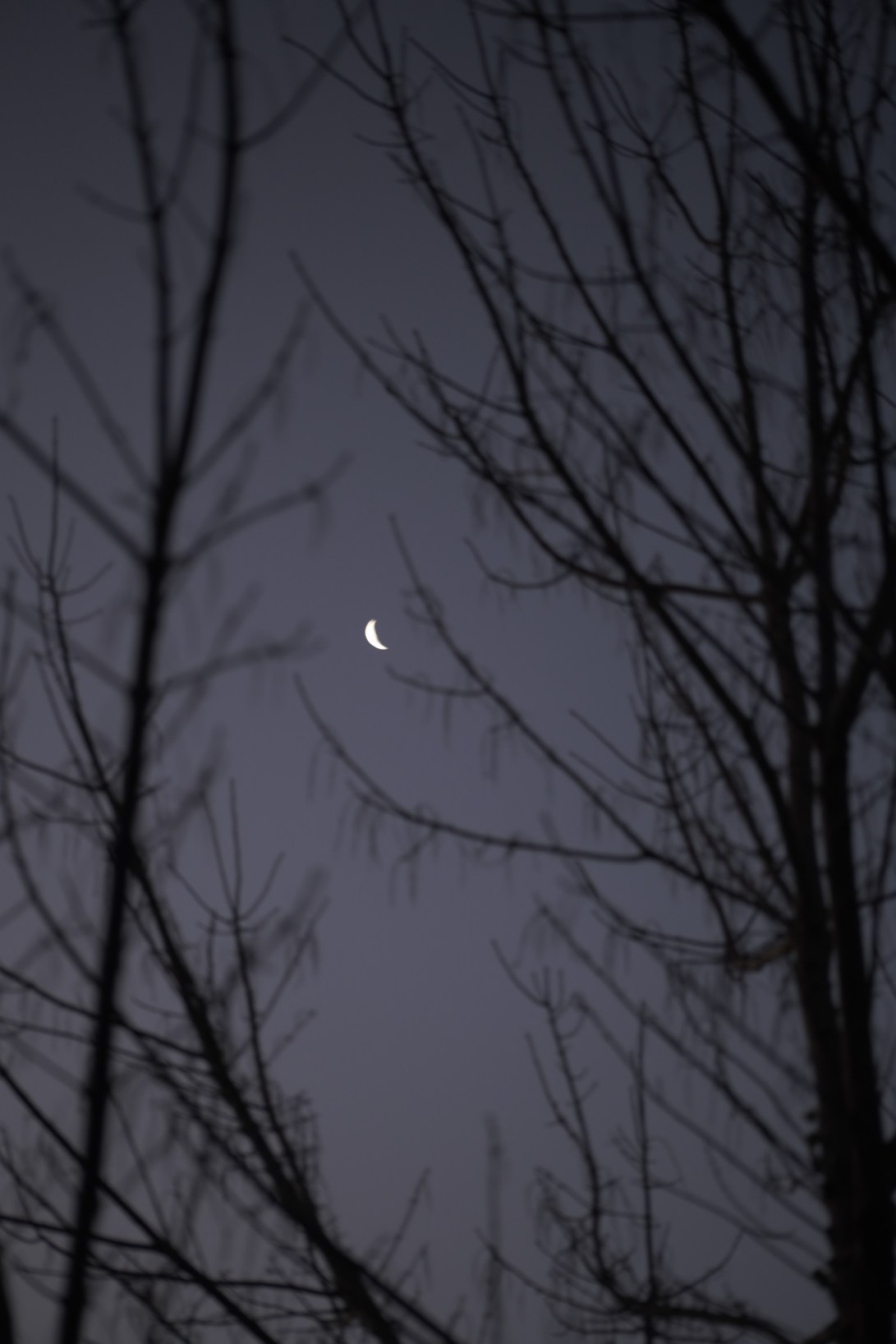 4F0577A1-F072-41FE-B79E-EB1451715124