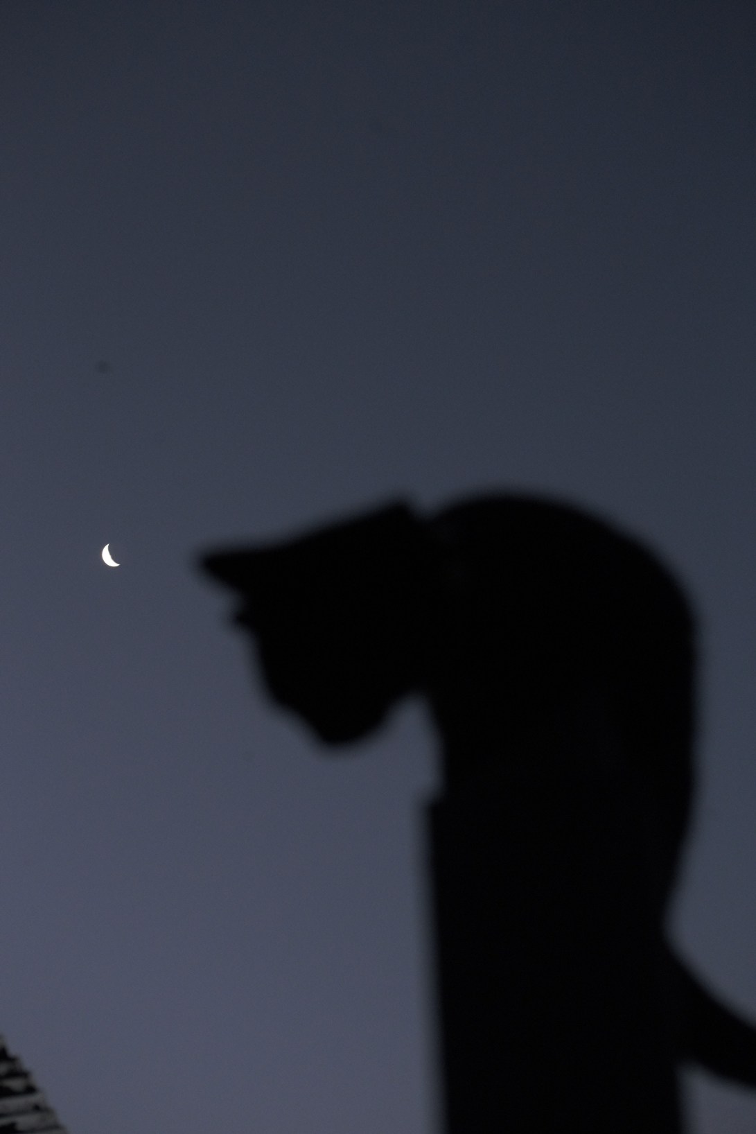 87EB8B66-499D-4A65-8DF7-4C2A37C23BF9