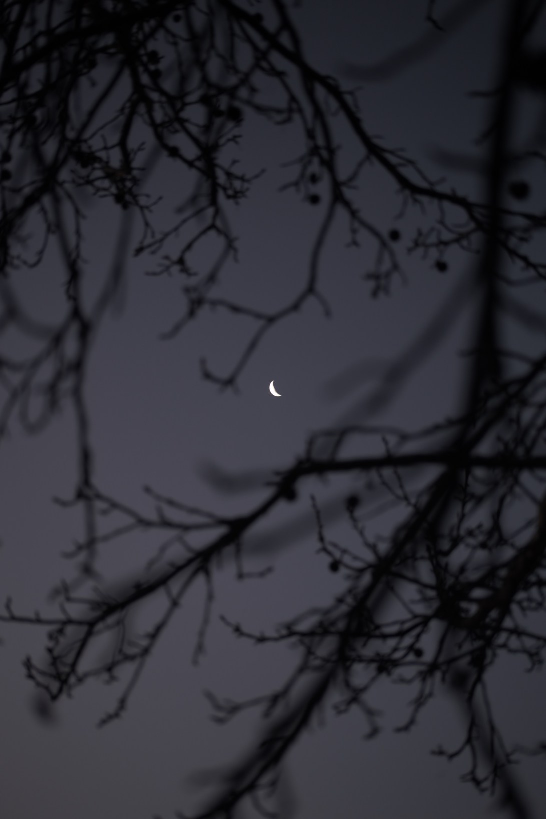 A24B47D6-7FD0-491C-B294-A74654ADB063