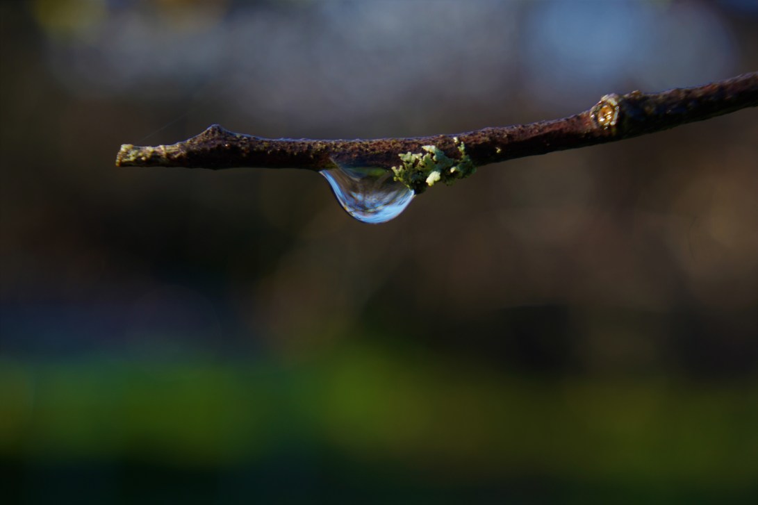 0FB0BA41-DFE2-4600-89EA-02EF2FCB8DDF