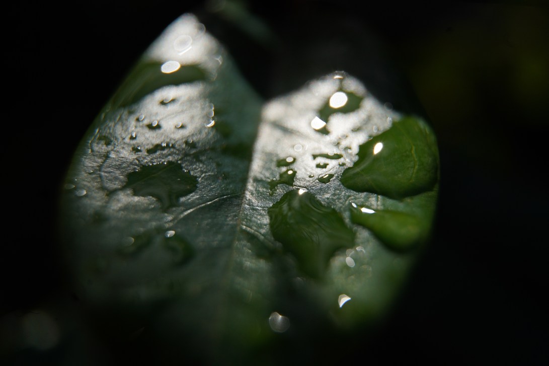 21923885-E4FD-46EF-9E7D-8D5B1B9550B8