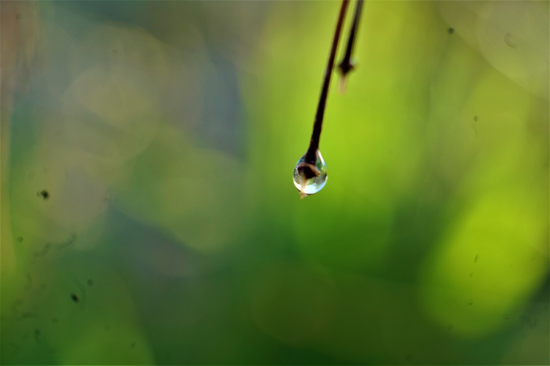 32327659-2D0F-40E8-8D1C-26BE1CACF571