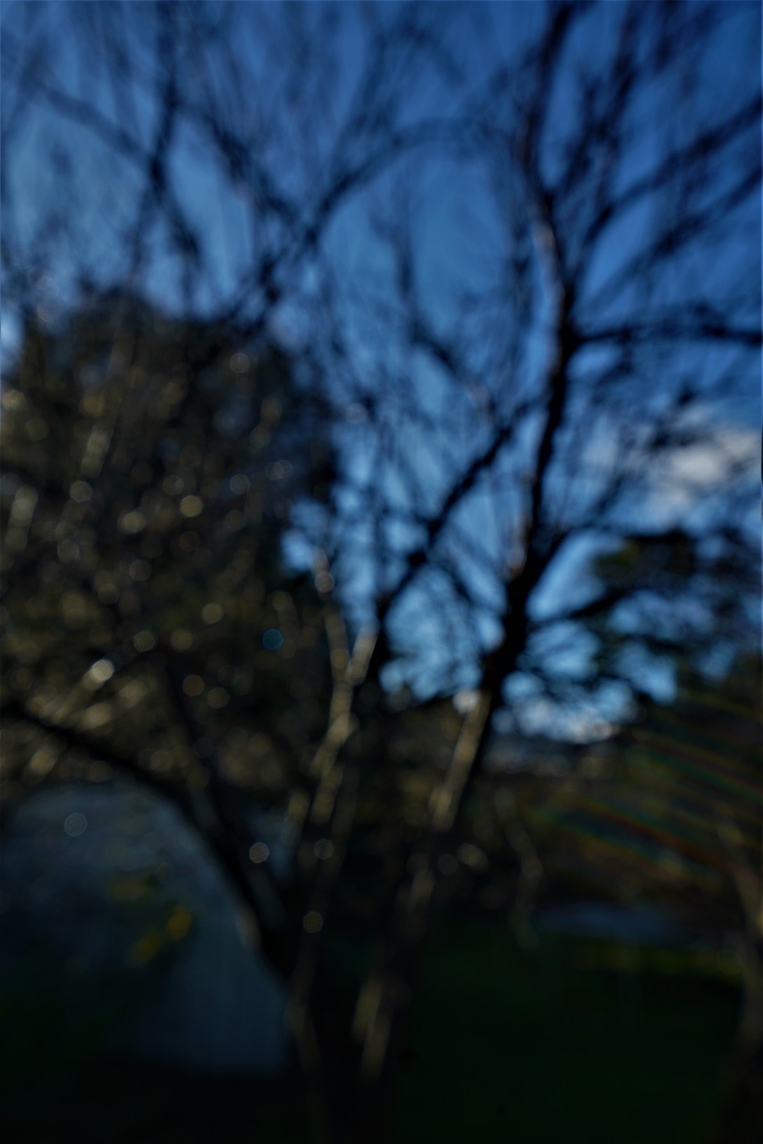 61A5E052-EA3E-4174-97BE-369C354C889F