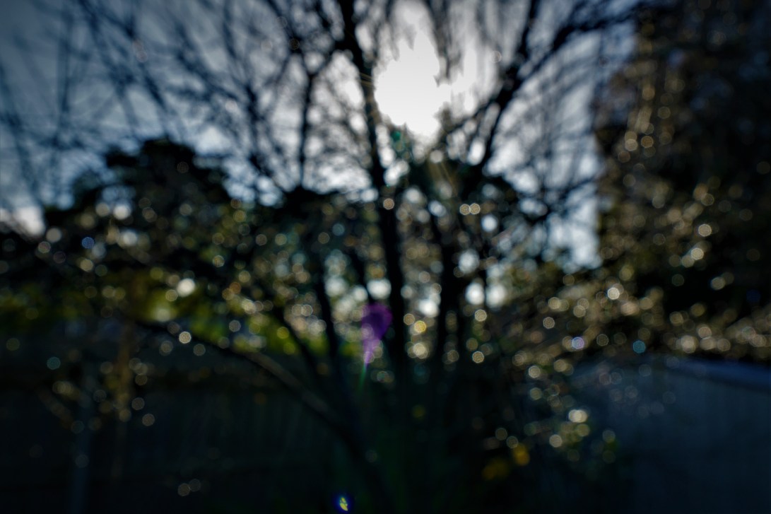 CE06220D-6A04-48DF-ACC0-FC277B3C153A