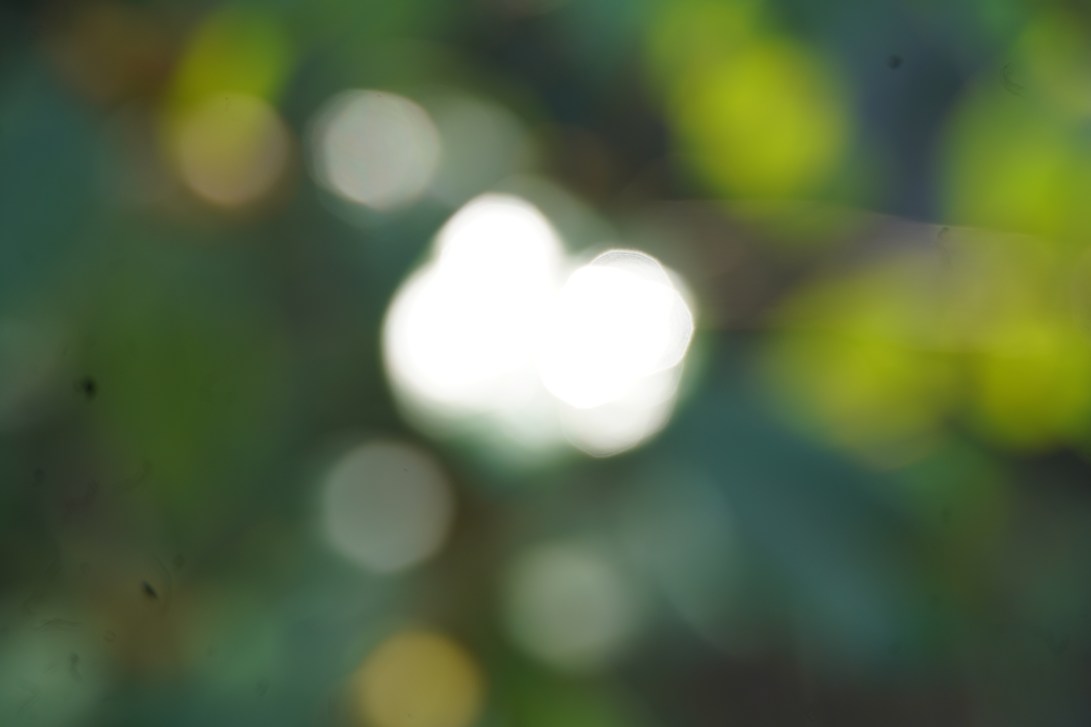 D77A5C37-A0BE-4CE3-B662-71C7B7699026